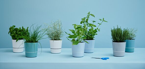 Pots &agrave; herbes Mepal - pour des herbes fra&icirc;ches plus longtemps