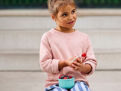 Onderdelen fruitbox Campus