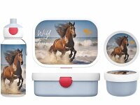 Wild Horse