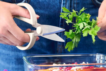 usp_images_others#1023330_usp01_scissors