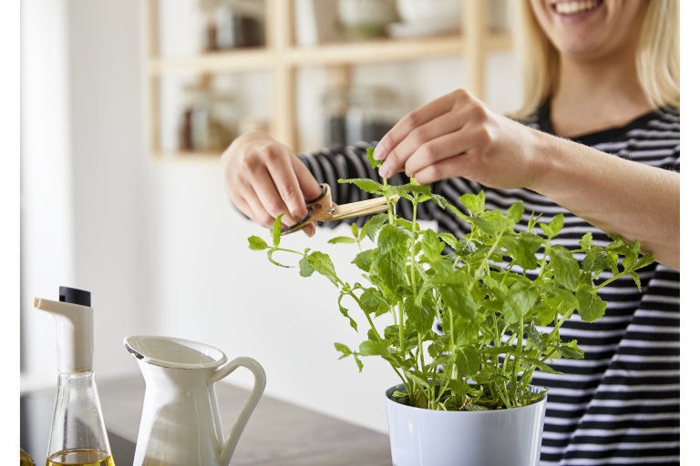 pot-hydro-pour-plantes-aromatiques-gm-gris