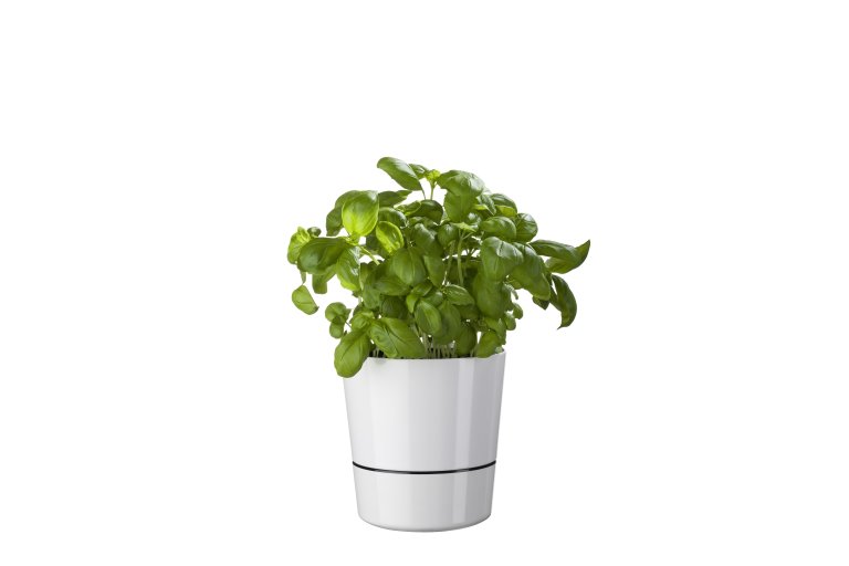 pot-hydro-pour-herbes-aromatiques-gm-nordic-blue