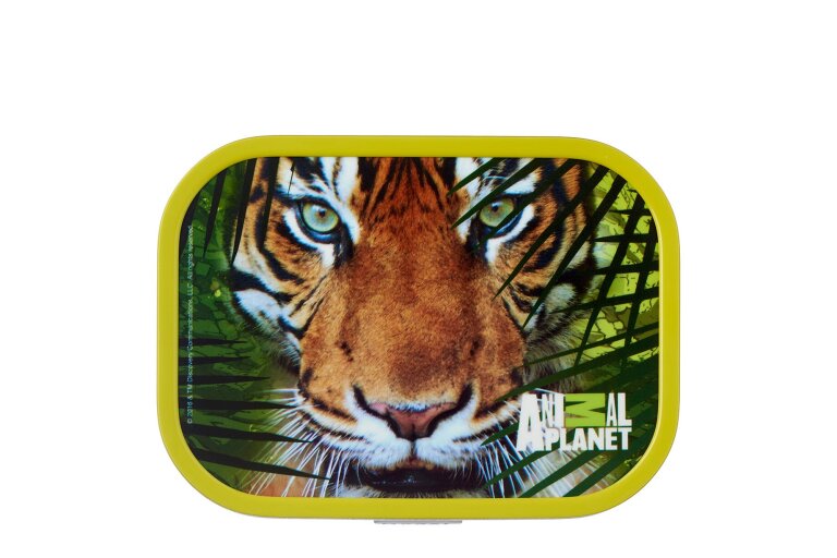 animal-planet-tijger-broodtrommel-lunchbox-campus