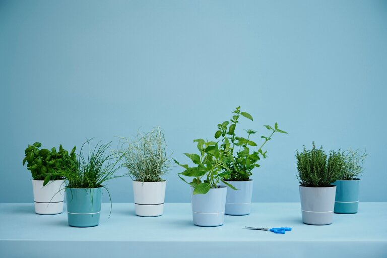 pot-hydro-pour-herbes-aromatiques-gm-nordic-blue