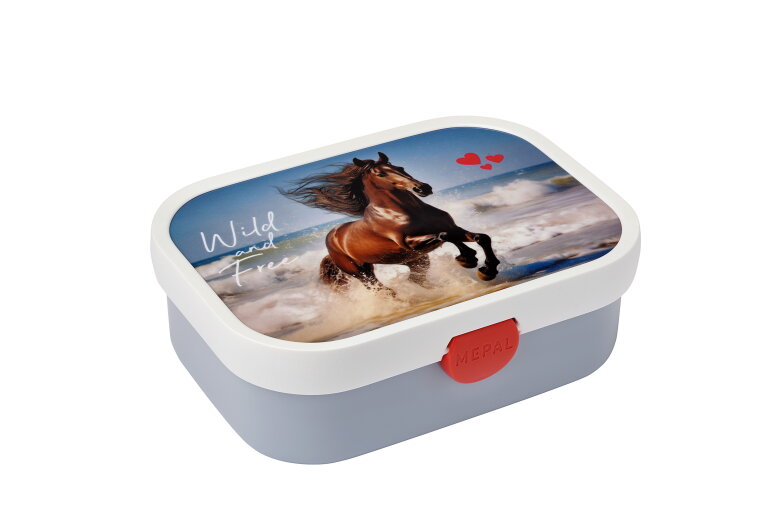 lunchbox-campus-wild-horse