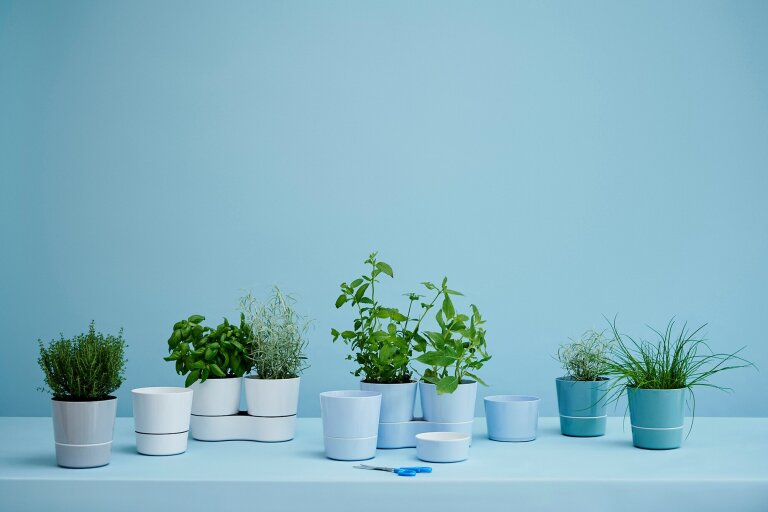 hydro-herbs-krautertopf-twin-grau