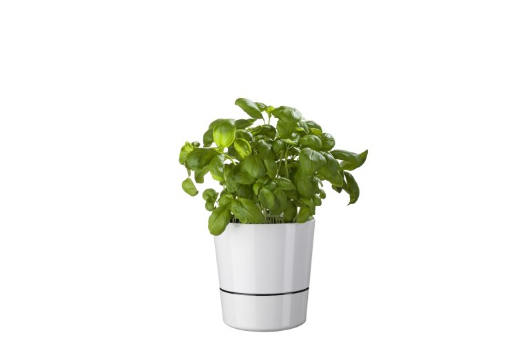 herb-pot-large-130-mm-nordic-green