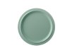 Dinner Plate P250 - Retro Green