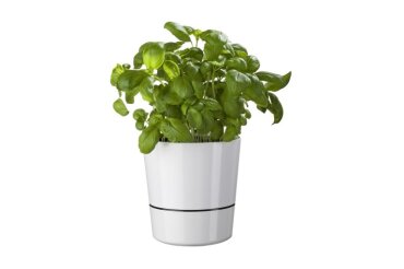 Herb Pot Large 130 Mm - White