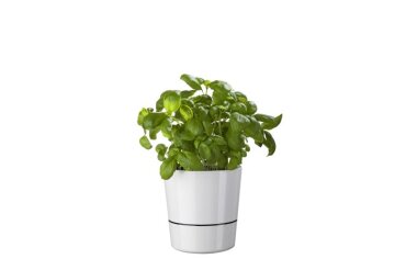 Herb Pot Large 130 mm - Nordic Green