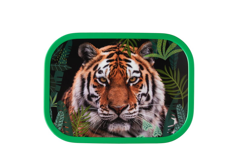 boite-a-dejeuner-campus-wild-tiger